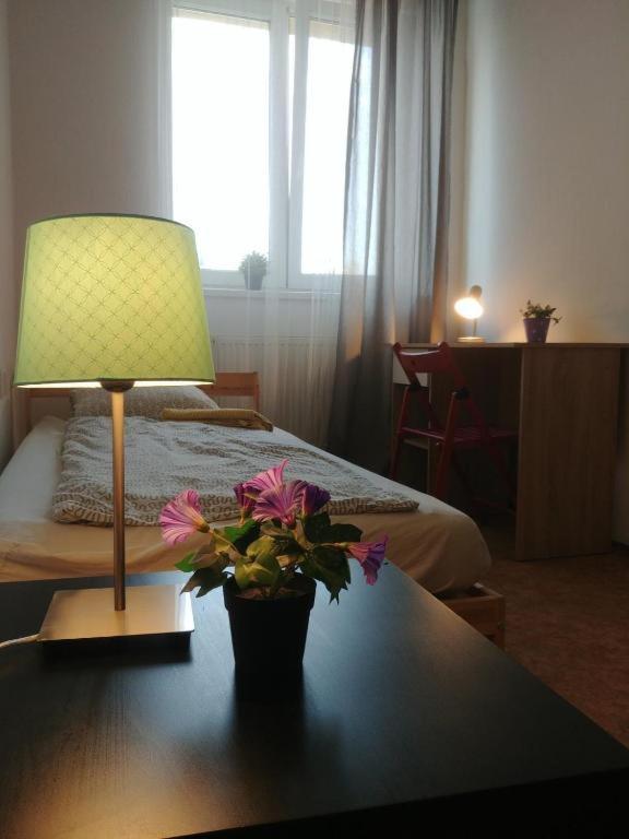 Near Main Railway And Bus Station Apartment Бърно Екстериор снимка